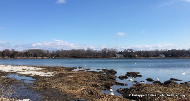 Strongs Neck-Abraham Woodhull-Anna Strong-Setauket-Culper Spy Ring-AMC TURN-Film Locations-Revolutionary War-Long Island