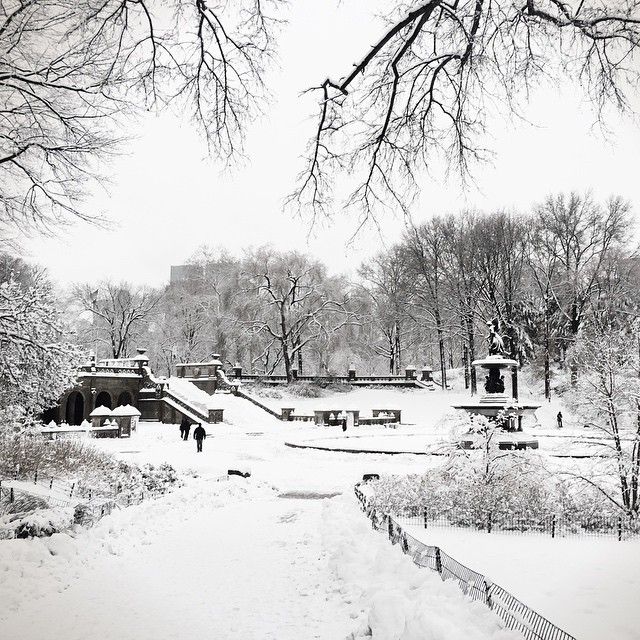 UntappedCities BigScreen Instagram Contest Photo, Bethesda Terrace, NY Park, Winter, NYC seasons, beautiful , black and white, trees, nature lover, walk way, snow, NYC photography