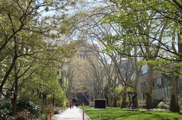 Allées of plane trees frame the walkway to the Bronk Laboratory.