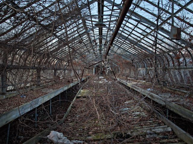 Abandoned America pilgrim state hospital-NYC-Untapepd Cities- Matthew Christopher-17