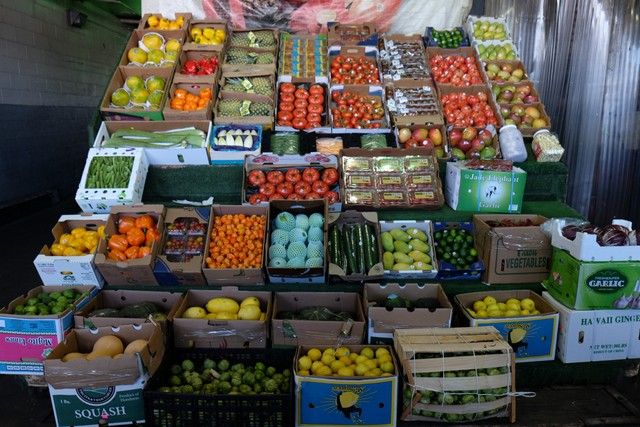 Hunts Point Produce Terminal-Bronx-NYCEDC-Behind the Scenes NYC-Untapped Cities-008