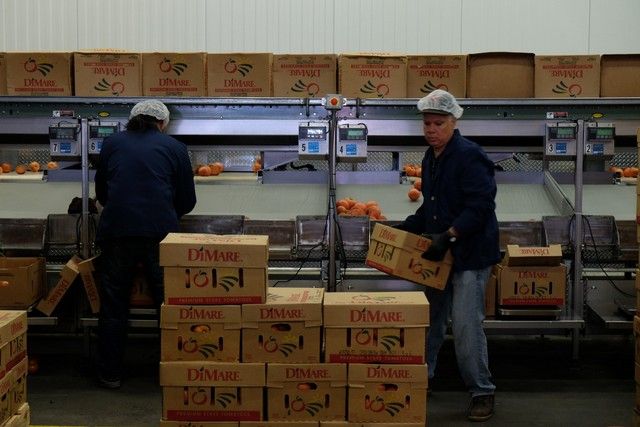 Hunts Point Produce Terminal-Bronx-NYCEDC-Behind the Scenes NYC-Untapped Cities-011