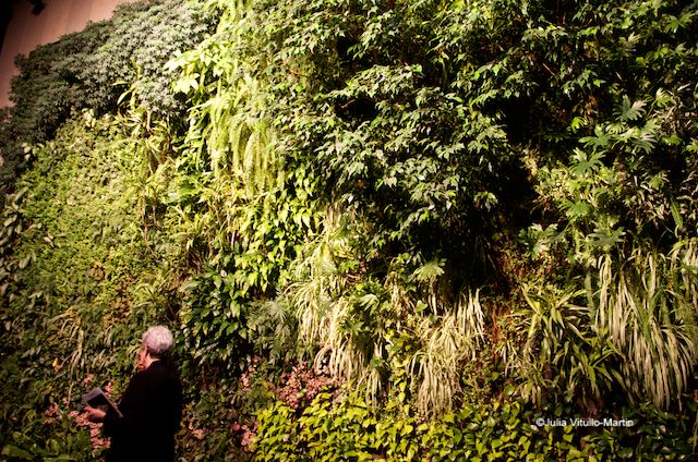 The David Rueinstein Atrium has two vertical gardens.