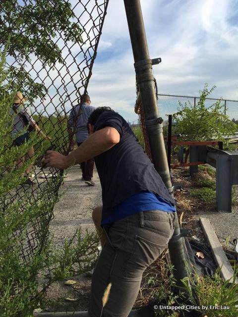 Hunts Point South-Waterfront-Wild-Abandoned-Park-Long Island City-Queens-NYC-019