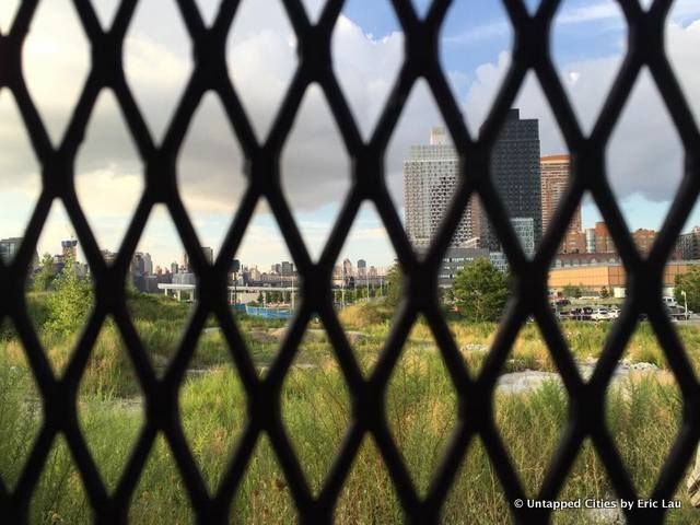 Hunts Point South-Waterfront-Wild-Abandoned-Park-Long Island City-Queens-NYC-022