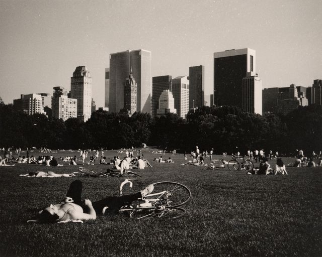 central park - frederick wiseman - documentary - MOMI - Untapped Cities - NYC -001