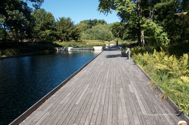 Black locust decking