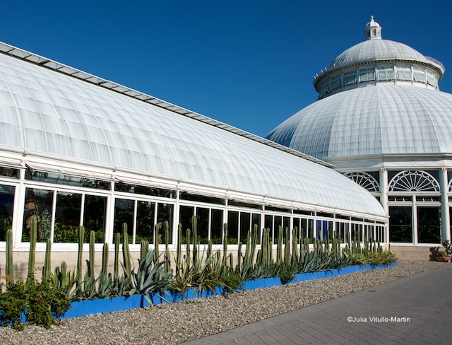 The NYBG reimagined the cactus fence planted by Kahlo and Diego River to protect Casa Azul.