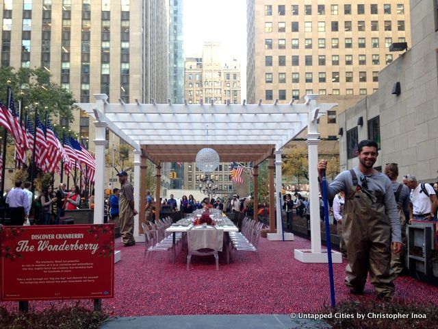 Cranberry-Wonderberry-Rockefeller Center-Pit of Cranberries-Ocean Spray-NYC-002