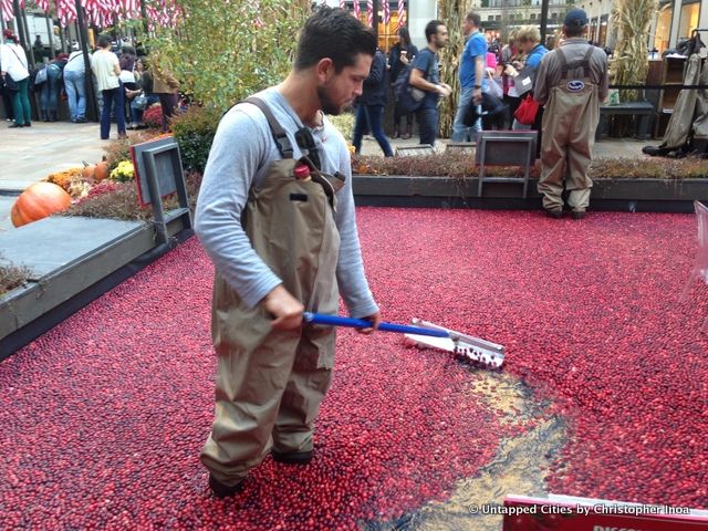 Cranberry-Wonderberry-Rockefeller Center-Pit of Cranberries-Ocean Spray-NYC-003