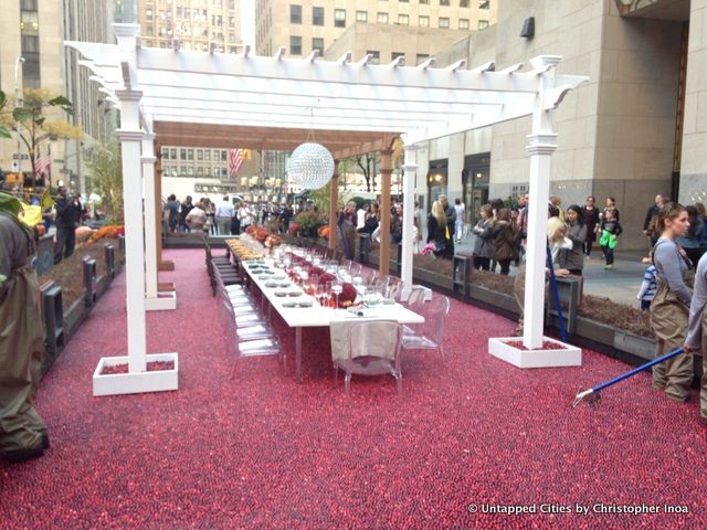 Cranberry-Wonderberry-Rockefeller Center-Pit of Cranberries-Ocean Spray-NYC-006