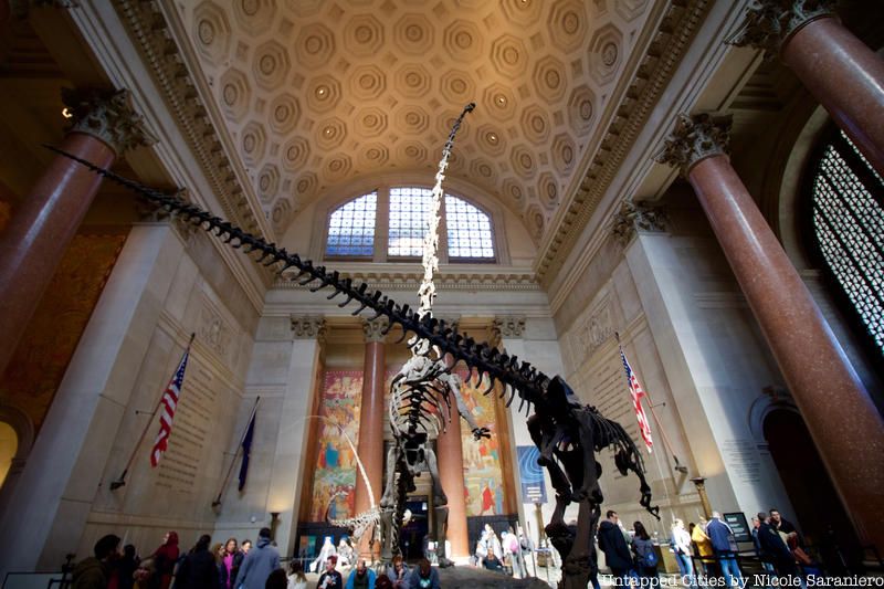 Lobby of the AMNH