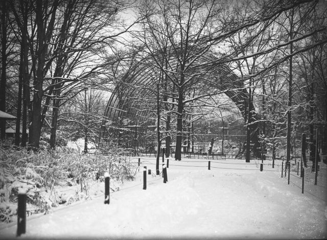 Wildlife Conservation Society-Vintage Photographs-Bronx Zoo-New York Aquarium-NYC-003