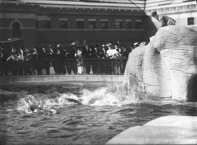 Wildlife Conservation Society-Vintage Photographs-Bronx Zoo-New York Aquarium-NYC-010