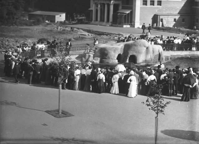 Wildlife Conservation Society-Vintage Photographs-Bronx Zoo-New York Aquarium-NYC-011