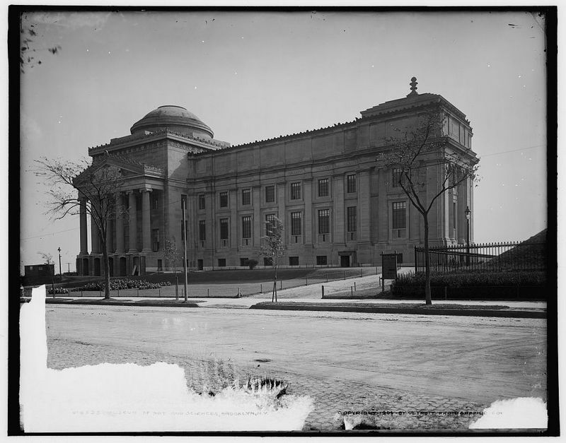 museum of arts and sciences-brooklyn-nyc-untapped cities