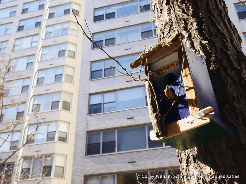 Bird House Row-83rd Street-York Avenue-East End Avenue-Upper East Side-NYC-002