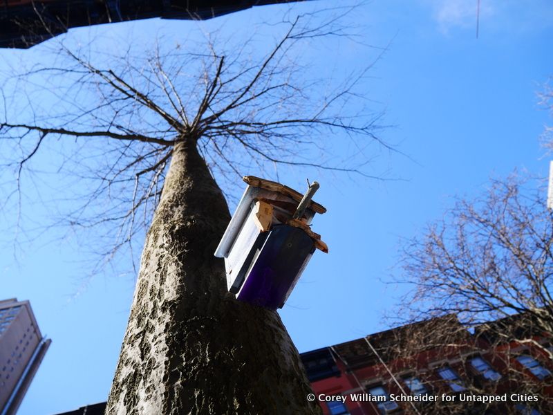 Bird House Row-83rd Street-York Avenue-East End Avenue-Upper East Side-NYC-008