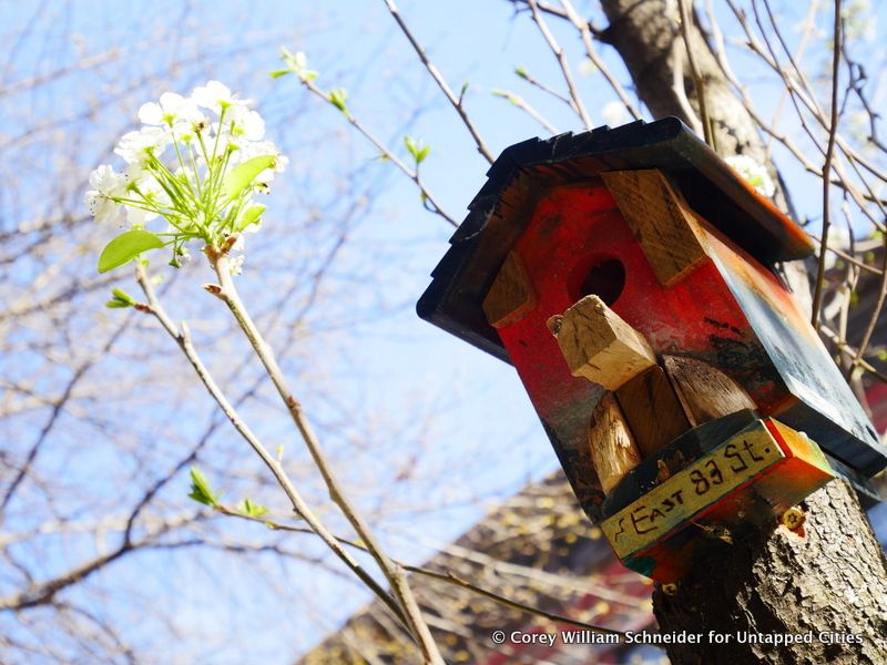 Bird House Row-83rd Street-York Avenue-East End Avenue-Upper East Side-NYC-014