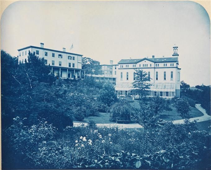 Central Park-Augustus Hepp-Blue Cyanotype Large Format Photo-Museum of the City of NY-NYC-10