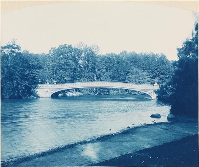 Central Park-Augustus Hepp-Blue Cyanotype Large Format Photo-Museum of the City of NY-NYC-11