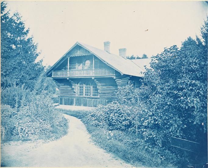 Central Park-Augustus Hepp-Blue Cyanotype Large Format Photo-Museum of the City of NY-NYC-9