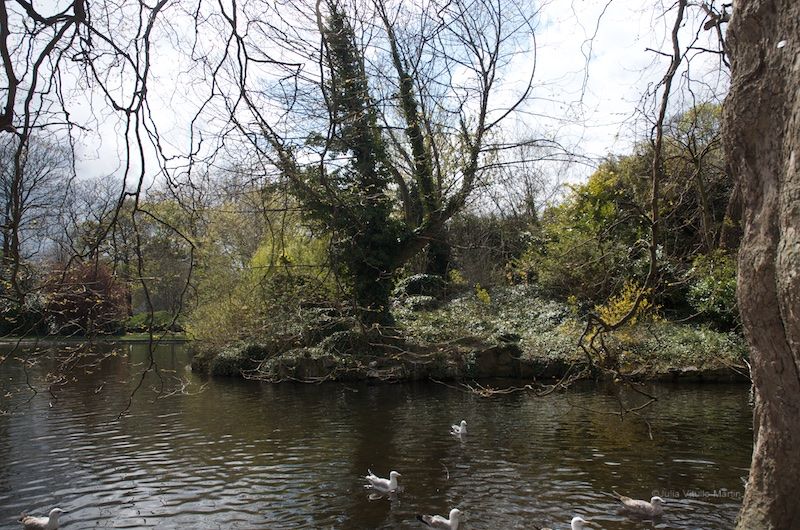 Rebels in St Stephen's Green and British snipers in the Shelbourne would cease fire so that the ducks could be fed.