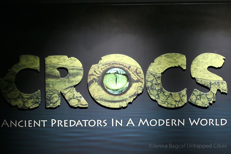 AmericanMuseumofNaturalHistory-Crocs-Manhattan-8