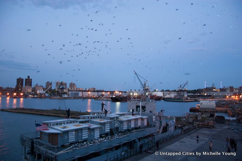 Fly by Night-Duke Riley-Creative Time-Pigeons-Brooklyn Navy Yard-NYC_13