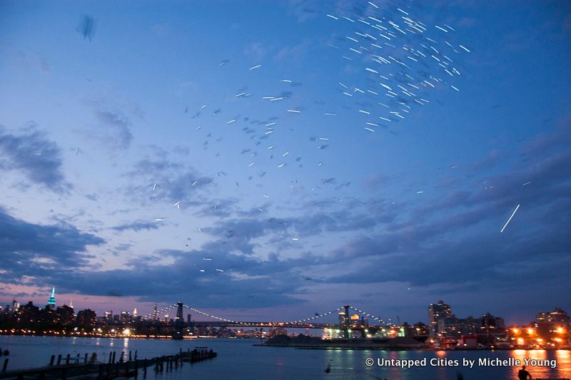 Fly by Night-Duke Riley-Creative Time-Pigeons-Brooklyn Navy Yard-NYC_21