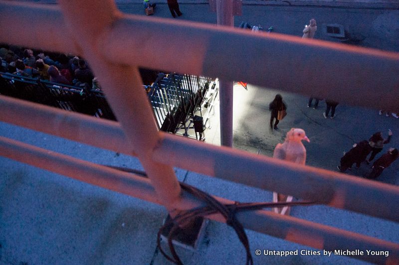 Fly by Night-Duke Riley-Creative Time-Pigeons-Brooklyn Navy Yard-NYC_26