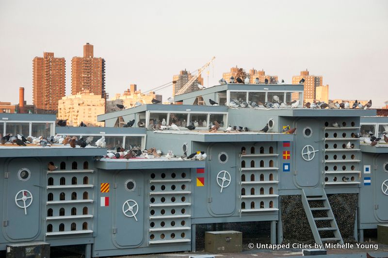 Fly by Night-Duke Riley-Creative Time-Pigeons-Brooklyn Navy Yard-NYC_4