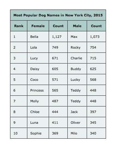 Popular Dog Names-Map-NYC Health Department-2015.png