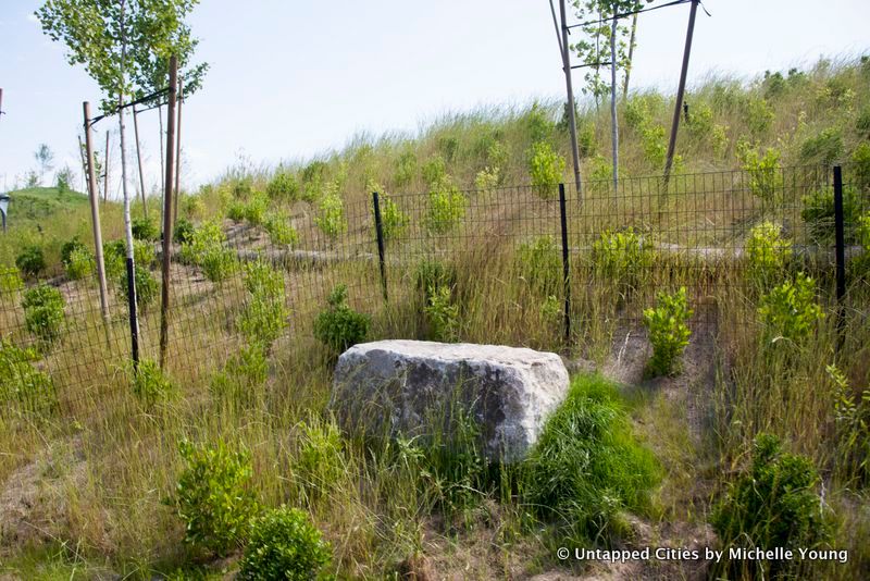 The Hills-Governors Island-Construction-Views-Lookout Hill-Slide Hill-Governors Island Trust-NYC_2