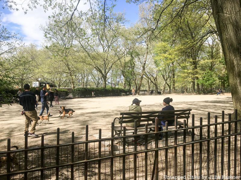 105th Street Dog Run