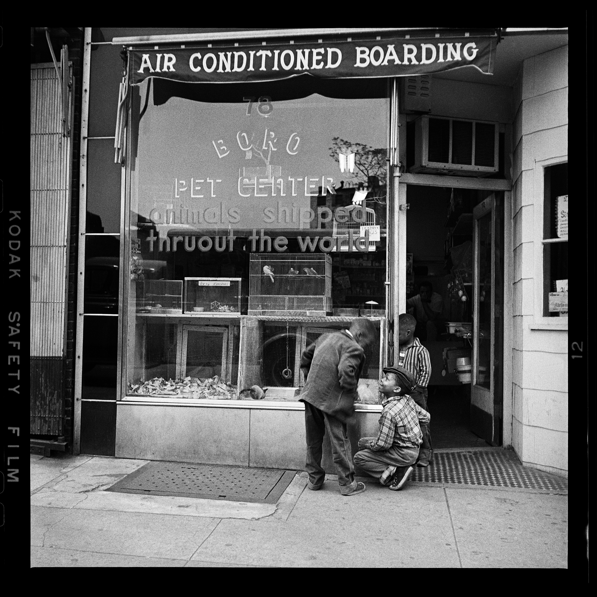 Brooklyn, David-Attie, Truman-Capote, Brooklyn-Historical Society