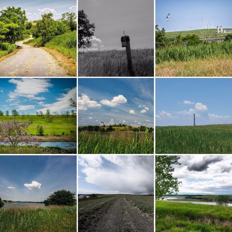 Landsape in Motion-Freshkills Park-Staten Island Arts Culture Lounge-St. George Ferry Terminal-Staten Island-NYC-3