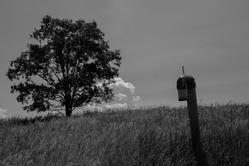 landscape-in-motion-freshkills-park-staten-island-arts-culture-lounge-st-george-ferry-terminal-staten-island-nyc-001