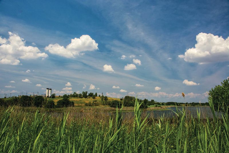 landscape-in-motion-freshkills-park-staten-island-arts-culture-lounge-st-george-ferry-terminal-staten-island-nyc