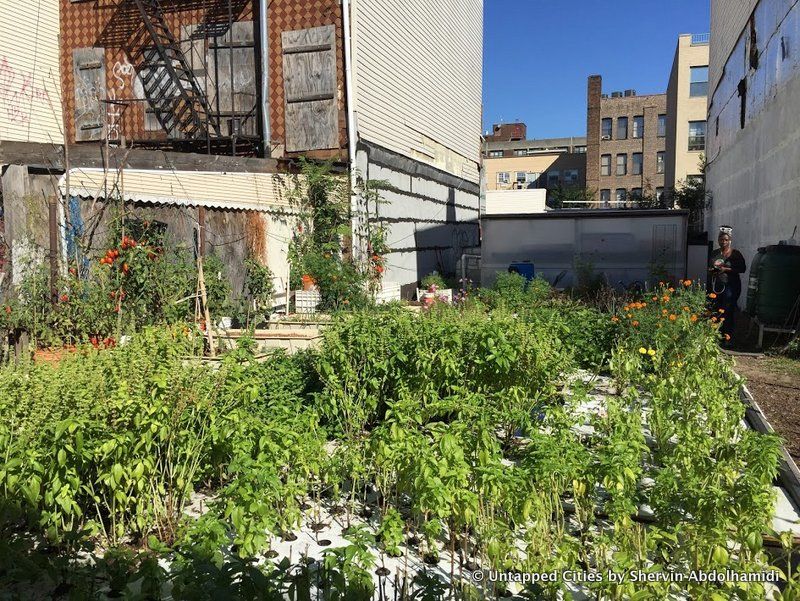 oko-farms-north-street-market-brooklyn-nyc