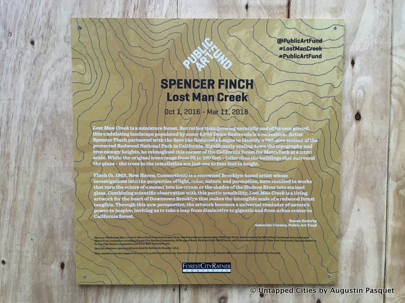 8-lost-man-creek_public-art-fund_brooklyn_nyc_untapped-cities-8