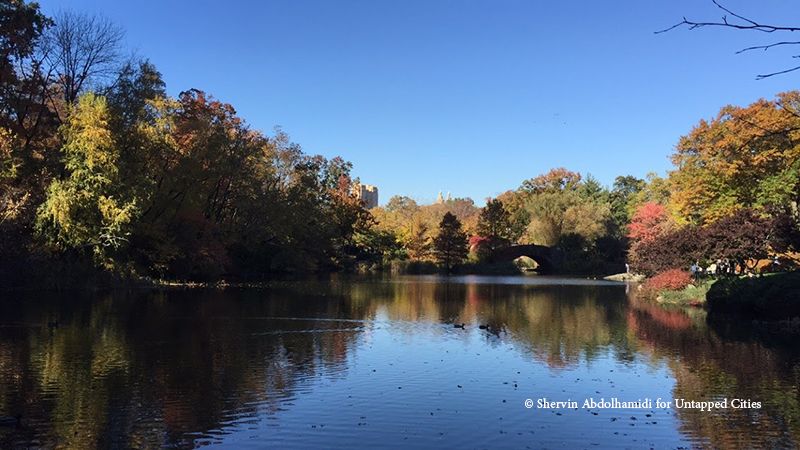 central-park-fall-colors-nyc-untapped-cities-shervin