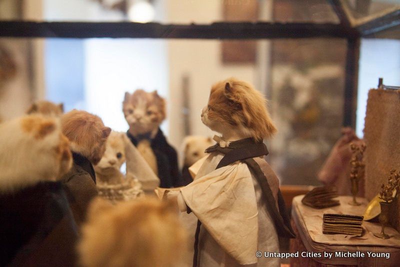 morbid-anatomy-museum-walter-potter-kitten-wedding-taxidermy-exhibit-gowanus-brooklyn-nyc_2