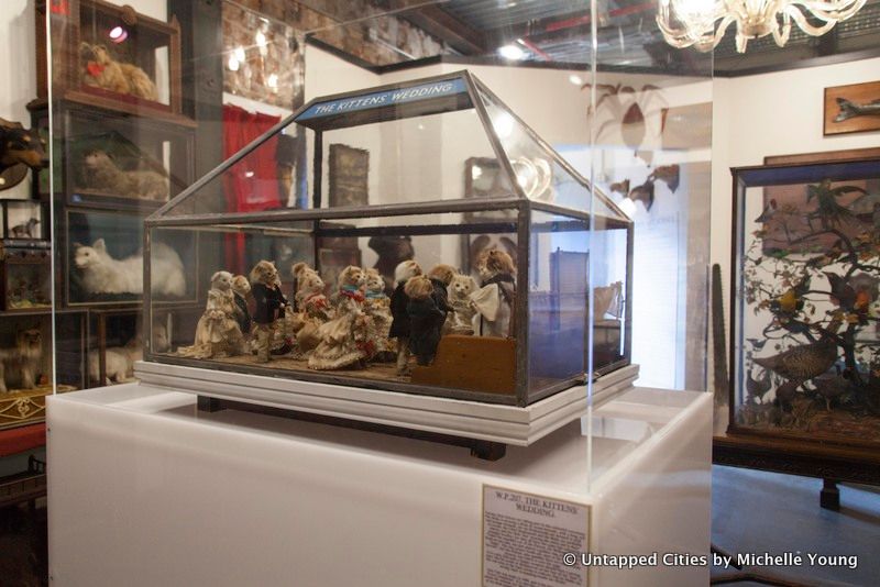 morbid-anatomy-museum-walter-potter-kitten-wedding-taxidermy-exhibit-gowanus-brooklyn-nyc_6