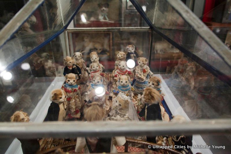 morbid-anatomy-museum-walter-potter-kitten-wedding-taxidermy-exhibit-gowanus-brooklyn-nyc_7