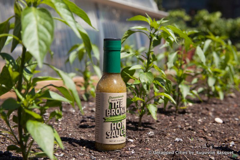 6-bronx-hot-sauce_pepper-harvest_untapped-cities_8