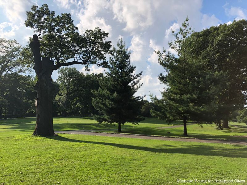 Forest Park designed by Frederick Law Olmsted