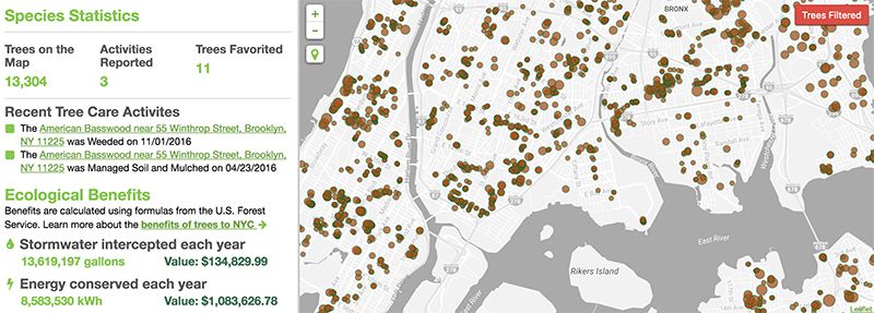 street-tree-map-nyc-untapped-cities