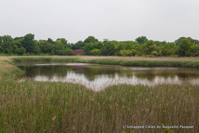 Ridgewood Reservoir