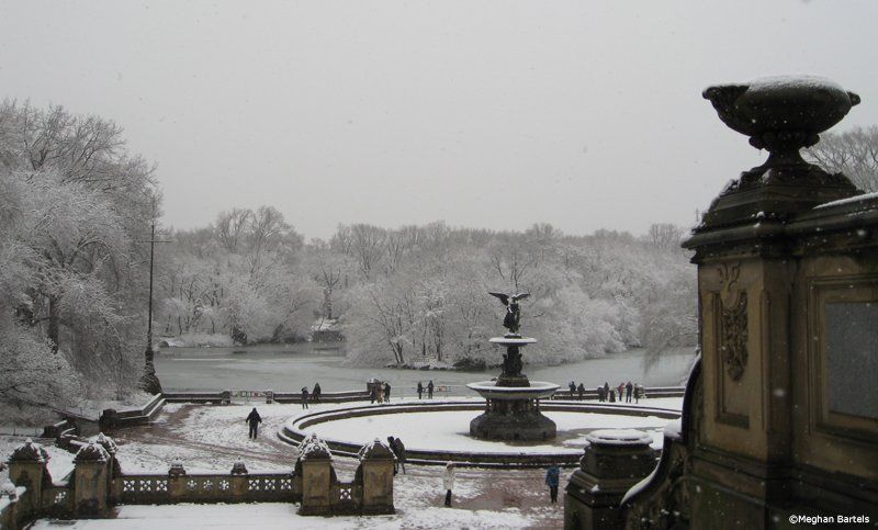 central-park-winter-new-york-city-untapped-cities-meghan-bartels